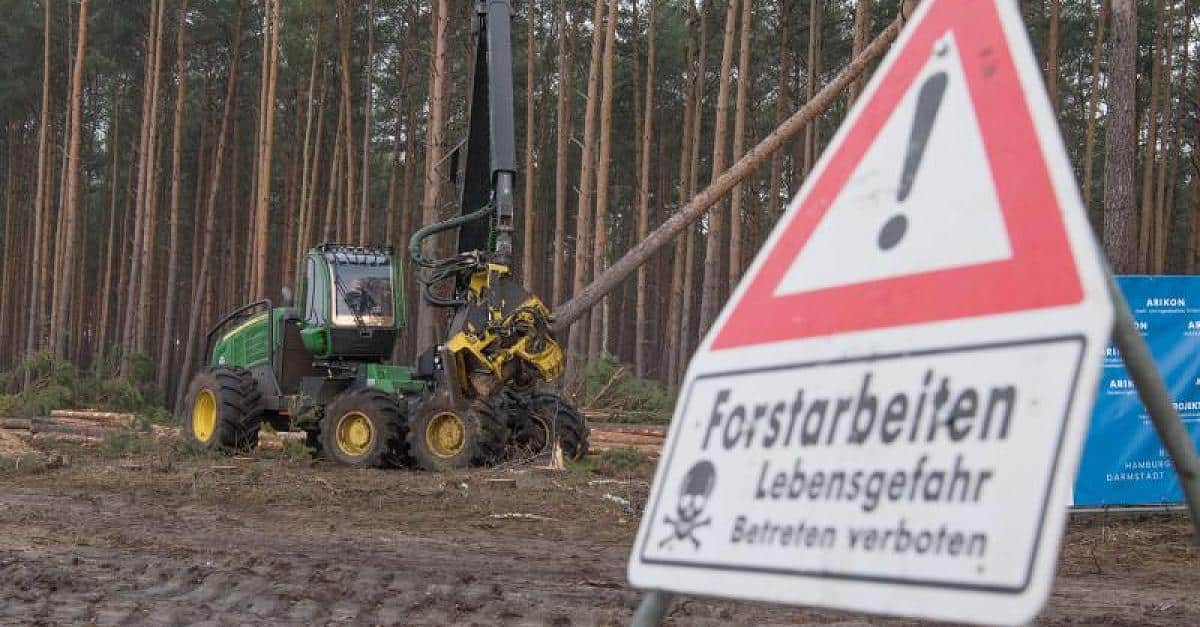 德国叫停 Tesla 兴建工厂计划　工程砍伐树木影响动物栖息地
